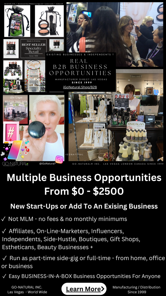 Multiple REAL Business Opportunities From $0 to $2500 * Easy Business Opportunities For Anyone