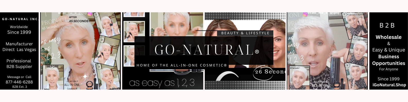 go natural all in one cosmetic b2b business opportunities wholesale 
